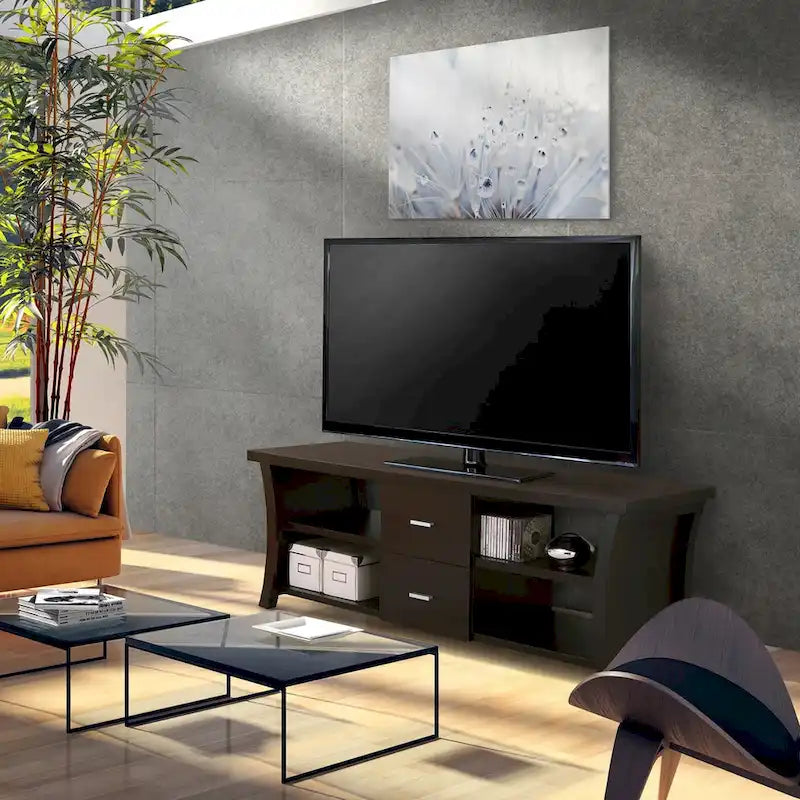 Contemporary TV Console with 2 Drawers and 4 Open Shelves | Bowed Side Design